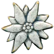 Runolist
